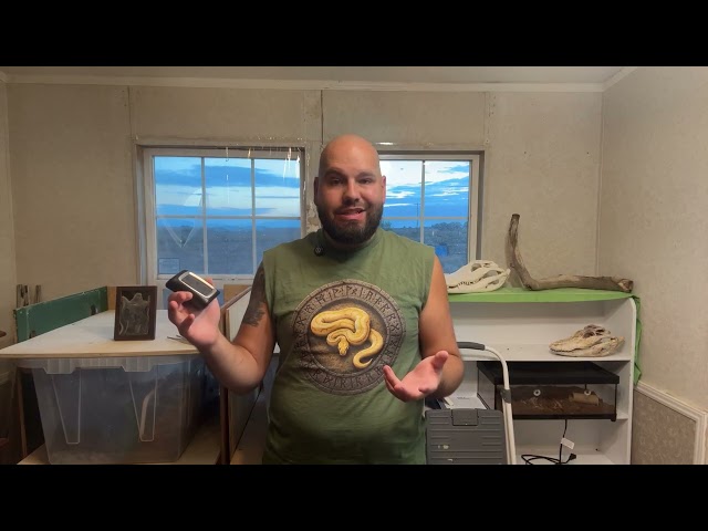 How much work is Keeping Ball Pythons?