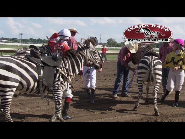 Canterbury Park Extreme Day 7-15-17