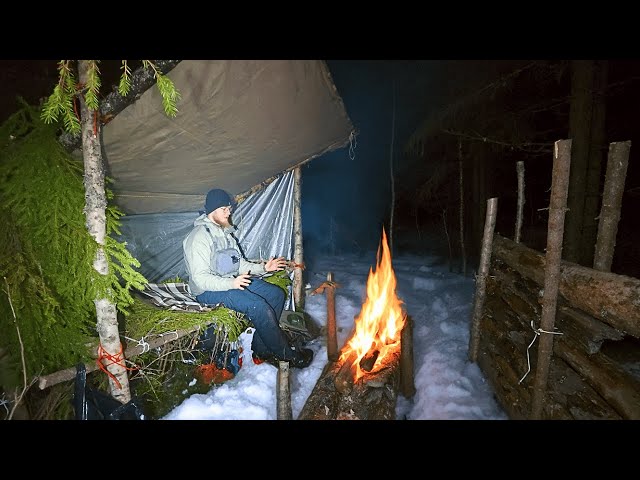 SURVIVING a night BELOW FREEZING in a BUSHCRAFT shelter (No Sleeping Bag)