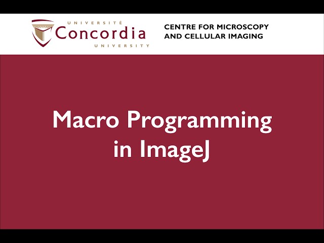 Macro Programming in ImageJ/FIJI: Introduction