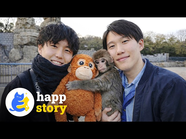 Punch the Monkey Won’t Let Go of the Zookeepers Who Saved Him | HAPP