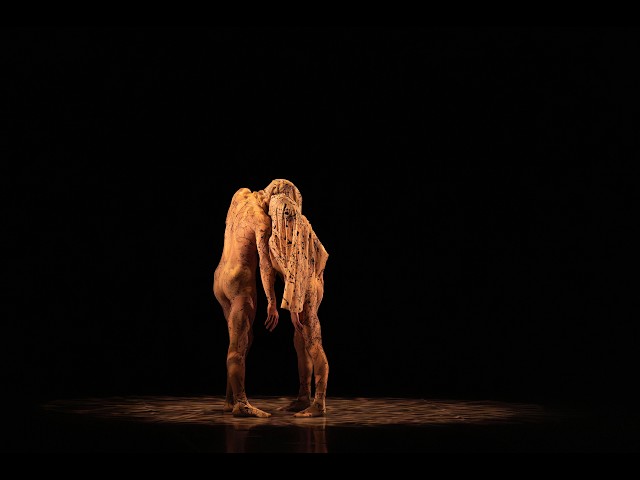 Les Amants Voilés pas de deux with Inès McIntosh & Shale Wagman – Prix de Lausanne 2026