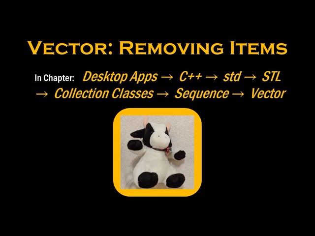 C++'s Vector: Removing Items