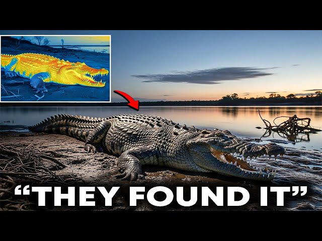 Florida's Crocodiles Were Vanishing for Months — What They Discovered Is Terrifying