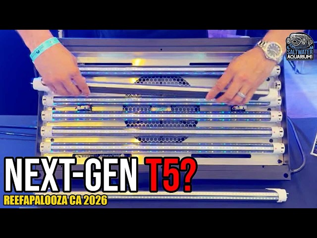 Swappable LED Bulbs? Testing Next Gen Reef Tech w/ Hilary | Reefapalooza CA 2026
