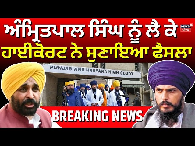 LIVE | Amritpal Singh News | ਅੰਮ੍ਰਿਤਪਾਲ ਸਿੰਘ ਨੂੰ ਲੈ ਕੇ ਹਾਈਕੋਰਟ ਨੇ ਸੁਣਾਇਆ ਫੈਸਲਾ | High Court