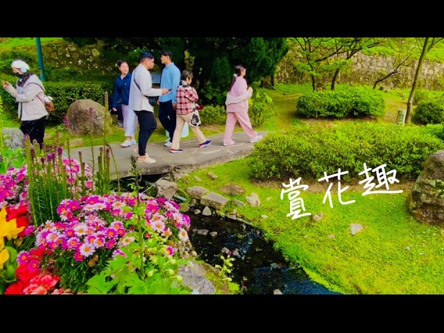 杜鵑花#【賞花趣】#King#【每一步都有恩典】#【陽明山】# Yangmingshan#陽明山國家公園#【Yangmingshan National Park】#紀錄陽明山#春季踏青#陽明山百花齊放