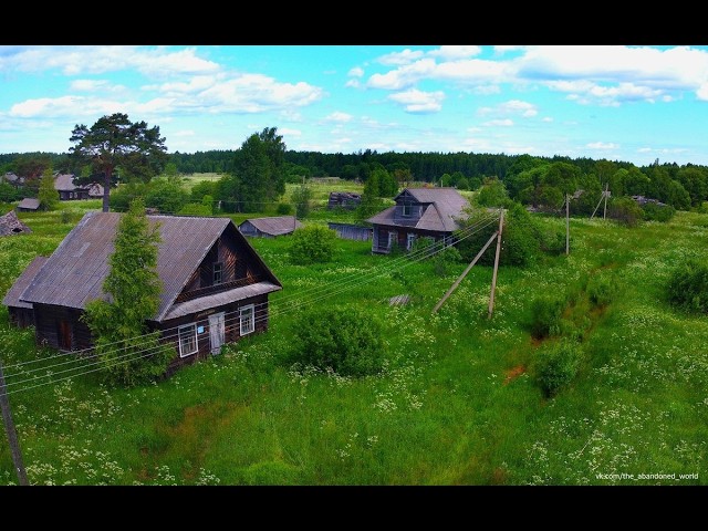 ОГРОМНАЯ ЗАБРОШЕННАЯ ДЕРЕВНЯ В ЛЕСУ. Шикарные брошенные дома. Находки старины. ПОСЛЕДНИЕ ЖИТЕЛИ.