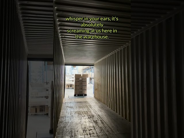 The Christmas countdown is on and we’re fully stocked with holiday lights and decor!✨