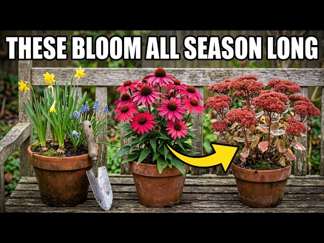 What if 13 Plants Could Guarantee a Perfect Late-season Garden?