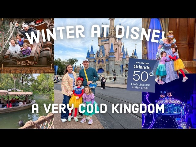 Winter at Disney Day 5 | A VERY COLD Magic Kingdom Day