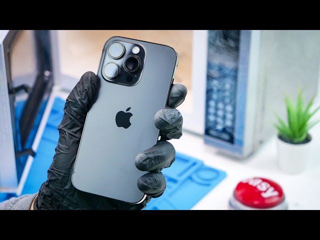 Repairing a Microwaved iPhone (Why Did He Do This?)