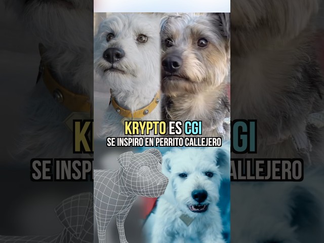 The sad story of Krypto and it was made in CGI for Superman #superman #krypto