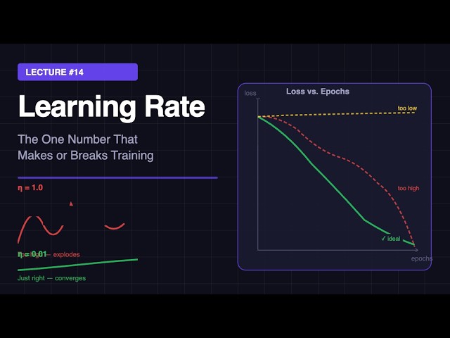 Lecture #14 - Learning Rate: The One Number That Makes or Breaks Training
