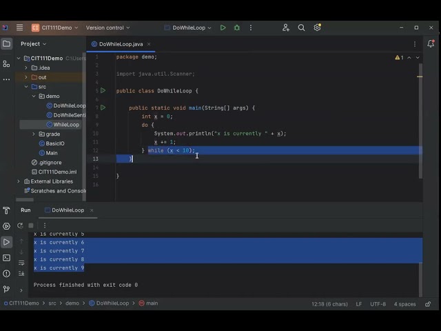 Do While Loop