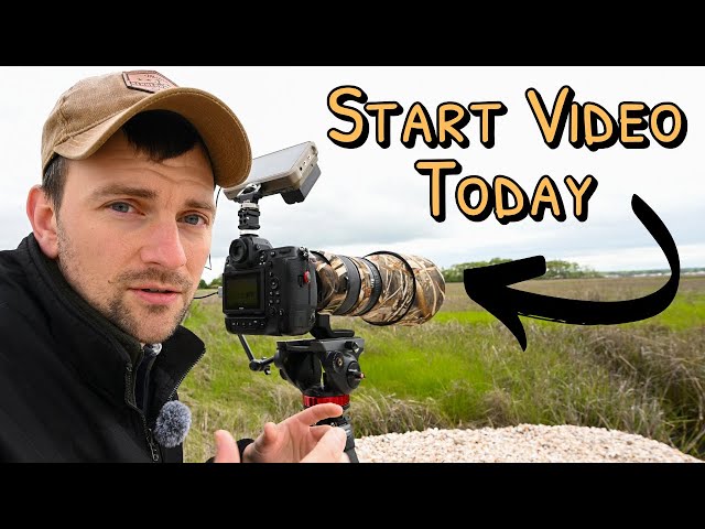 Beginner's Guide to Shooting Wildlife Video | Camera Settings and Tips