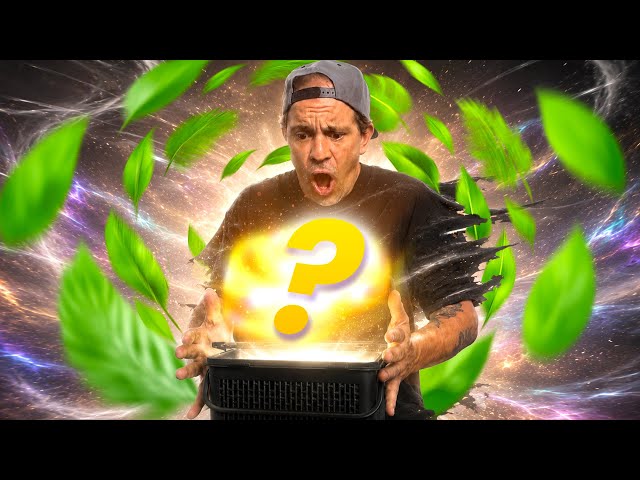 I BOUGHT ONE OF THE MOST EXPENSIVE SNAKES IN THE WORLD (huge splurge) - TOOPET