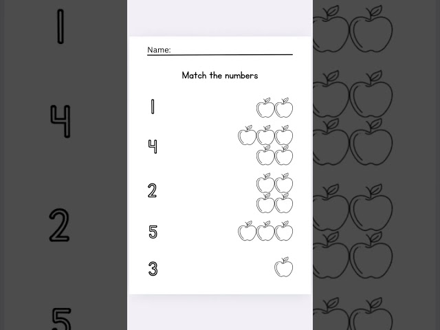 Numbers bundle
