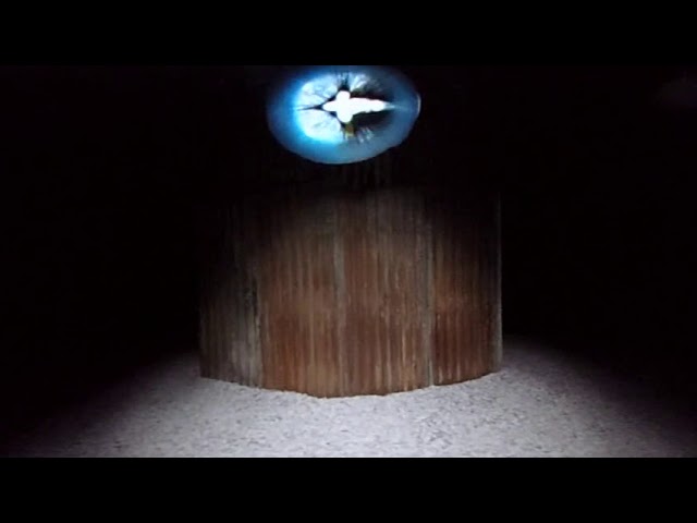 Imago Dei 360