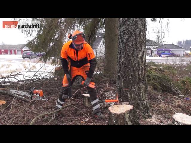 Hva du bør tenke på når du skal felle trær med motorsag