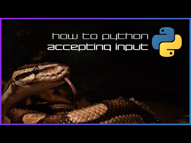 Accepting input - How to Python - Basics 5