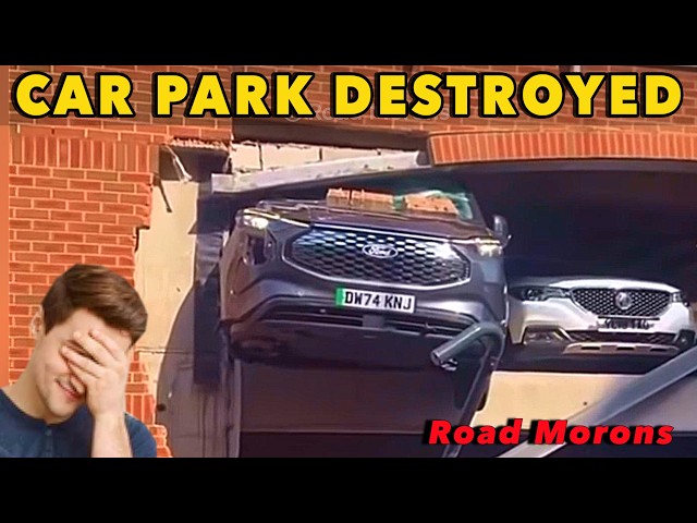 Watching Idiots On The Road Doing Dumb Stuff .Road Moron 111