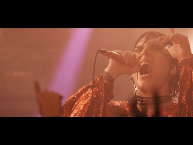 The Struts - “Rebel Rebel” (David Bowie cover - Live in Paris with Yarol)