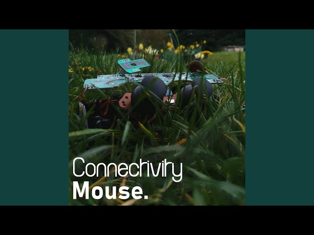 Connectivity