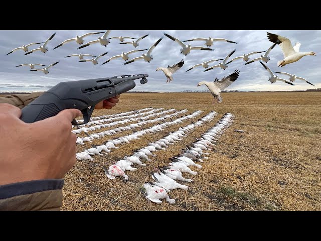 Our Record Breaking 267 Bird Goose Hunt! (WE WENT DEMON MODE)