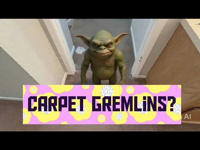 Got Gremlins in your Carpet?  Carpet damage. 