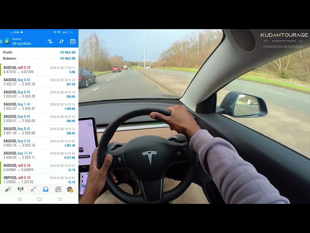 Automated Forex Trading Winner FX Review