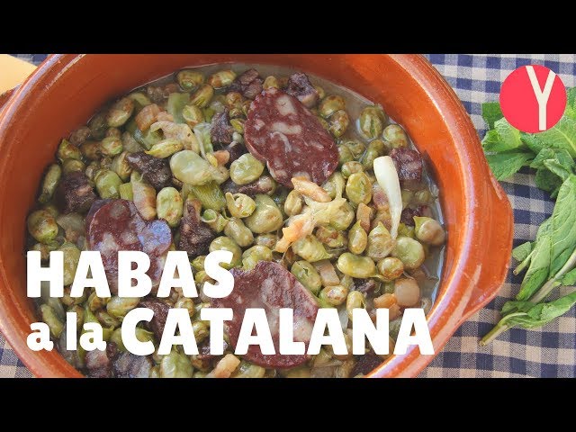 Habas a la Catalana - Faves a la Catalana - YOCOMO Cocina Catalana