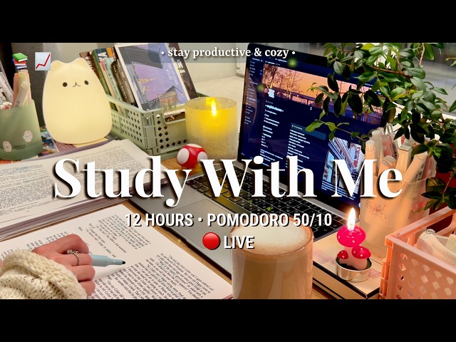 12 HR STUDY WITH ME | 50/10 Pomodoro 🔥 Cozy Fireplace Sound