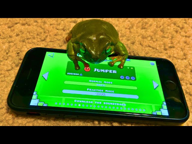 My Frog Beat Jumper 