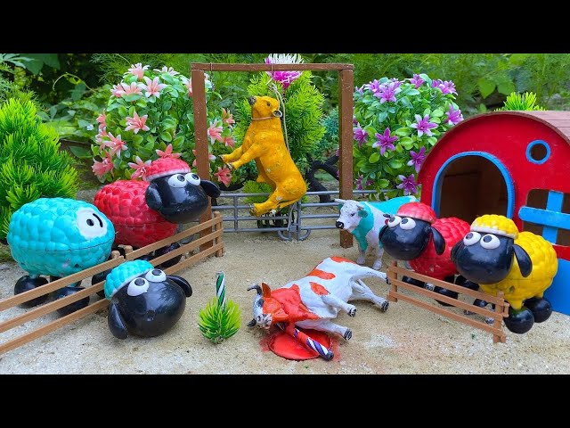 WADIDAU ‼️PROSES POTONG SAPI KURBAN