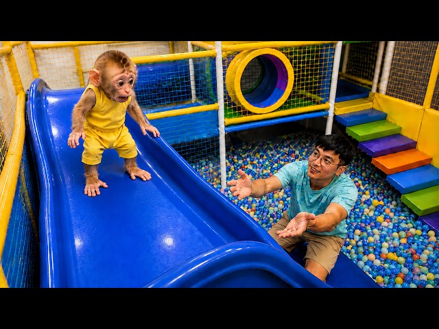 Tiny Baby Monkey Gets So Nervous Until Dad Shows Him How 🥹❤️