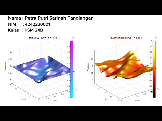 Simulasi Persamaan Gelombang 2D dengan MATLAB: Syarat Batas Neumann dan Dirichlet