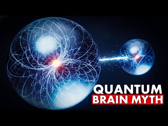 Warning: “Quantum Consciousness” May Collapse Under This Proof!