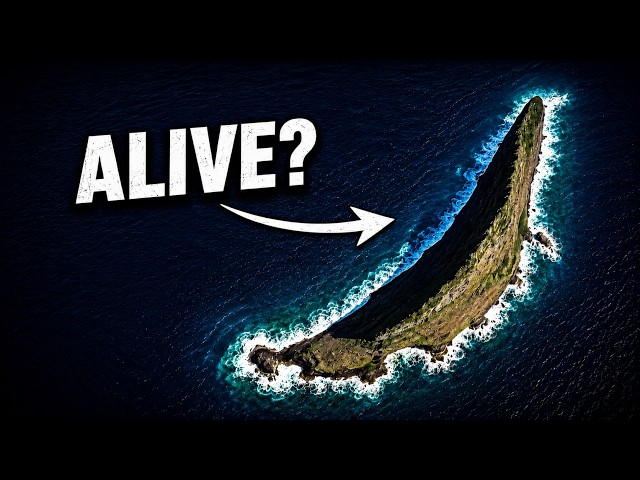 Scientists Found an "Extinct" Species on This Island