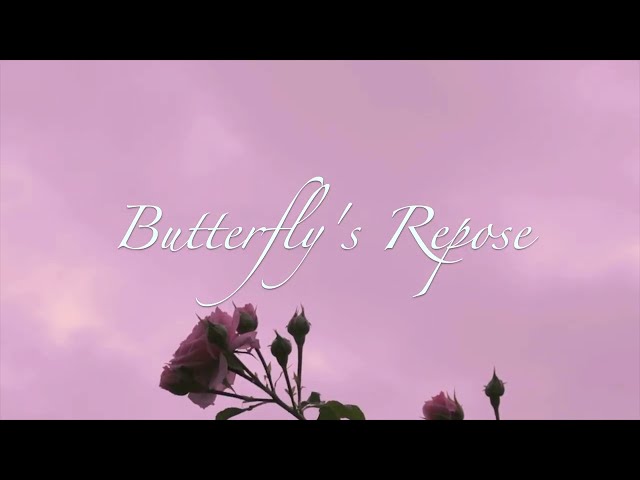 Butterfly's Repose (Official Lyric Video)