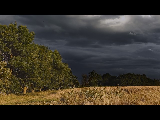 Distant Thunderstorm during Summer Break | Countryside Field | Calm Before the Storm | 3 HOURS