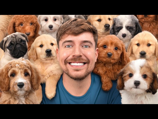 I Adopted 100 Dogs!