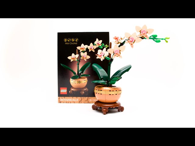 LEGO Botanical Mini Orchid 10343 - Build