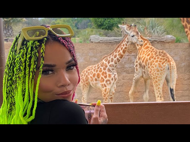 First time at the Safari Park!