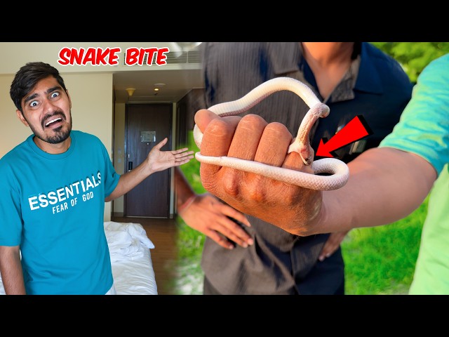 Bablu Got Bitten By A Snake😱 | What Will Happen?