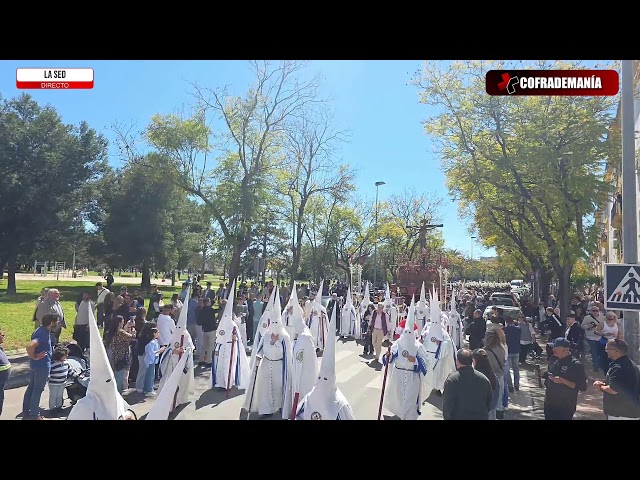 #enDirecto | SALIDA HERMANDAD DE LA SED 2026