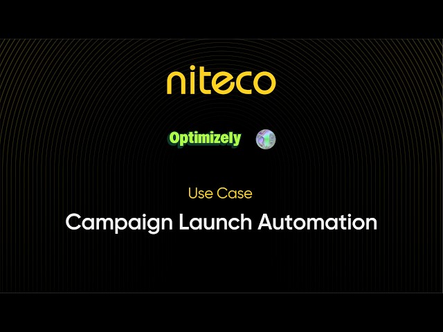 Campaign Launch Automation Opal Use Case