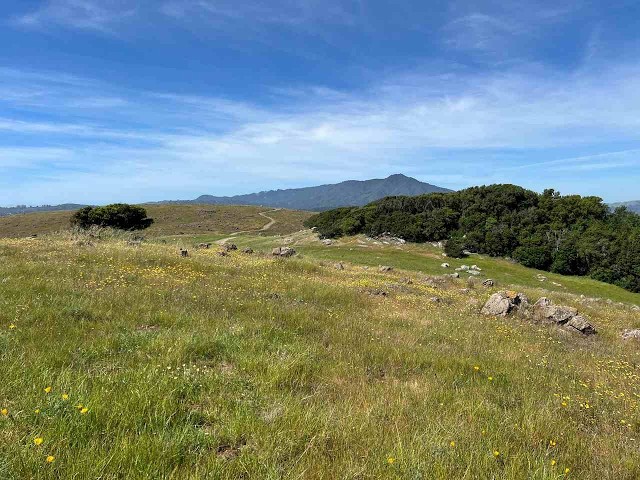 “Serpentine Habitats and Plants in Marin County”: Kristin Jakob,  Monday, July 13, 2026, 7:30 pm