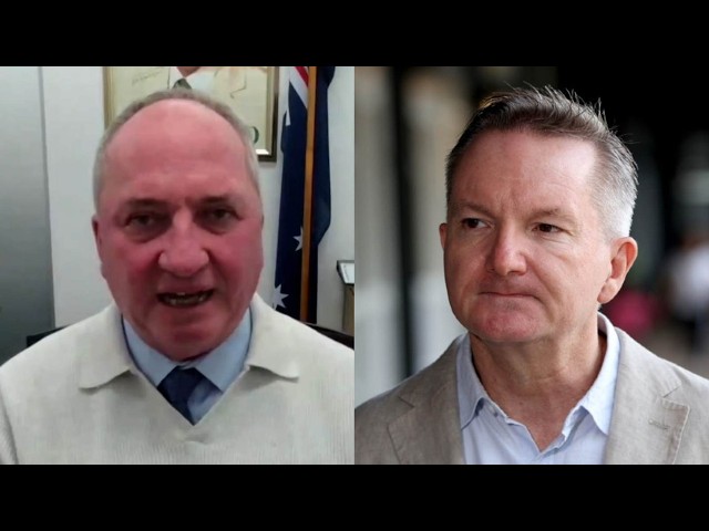 ‘Fanciful rubbish’: Barnaby Joyce trashes Chris Bowen’s insane data centre plan