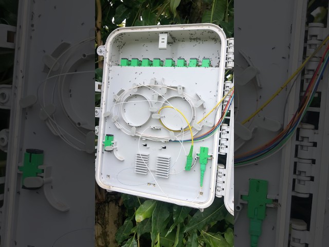 How to Organize and Manage Fiber Optic Distribution Box | FTTH Management Guide